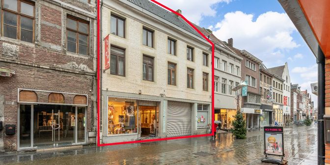 Maison à vendre à Bosstraat 48, 3680 Maaseik