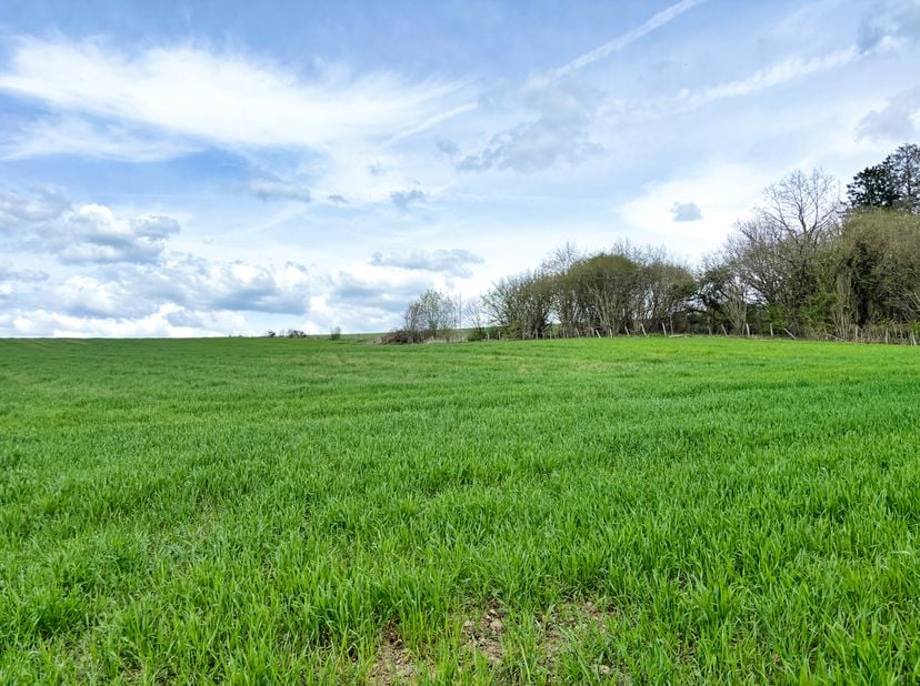 Vergund terrein van 4.000 m² tussen de nummers 42 C en 45 in de Rue de Wibrin<br />
Terrein met een breedte van +/- 26 m en een diepte van +/- 87 m.<b