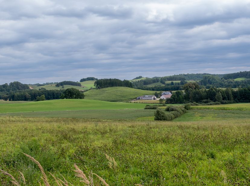 OPTIE:<br />
REGIO EUPEN: Groot perceel van 20.000m² met woonproject (#2X+5_DODA_LIE)<br />
• Project voor vergunning in uitvoering voor 26 huizen en