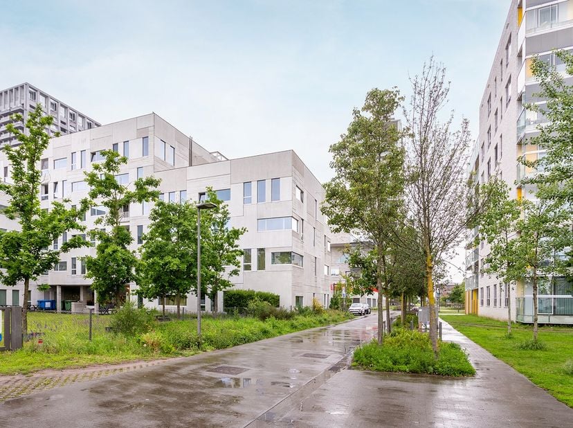 Studentenstudio te koop in Nieuw Zuid in Antwerpen, vlak bij de Schelde en op wandelafstand van de campus van Karel de Grote Hogeschool. Gelegen op de