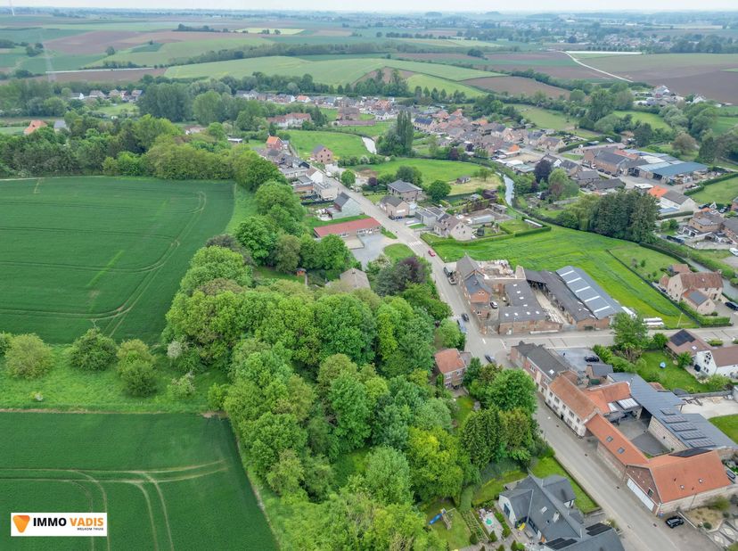 Deze open bebouwing, gelegen aan de Visésteenweg 424 in Tongeren-Borgloon, biedt tal van mogelijkheden voor wie op zoek is naar een renovatieproject.<