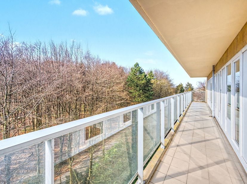 Appartement à louer à Avenue Franklin Roosevelt 117,
                    1050 Ixelles