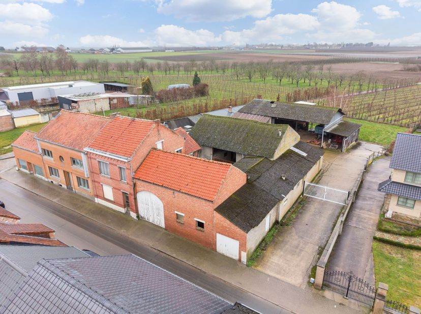 Projectgrond van 17are39ca met te slopen woning (bouwjaar 1947) gelegen aan de Groot-Gelmenlaan in Sint-Truiden. Dit perceel biedt een interessante op