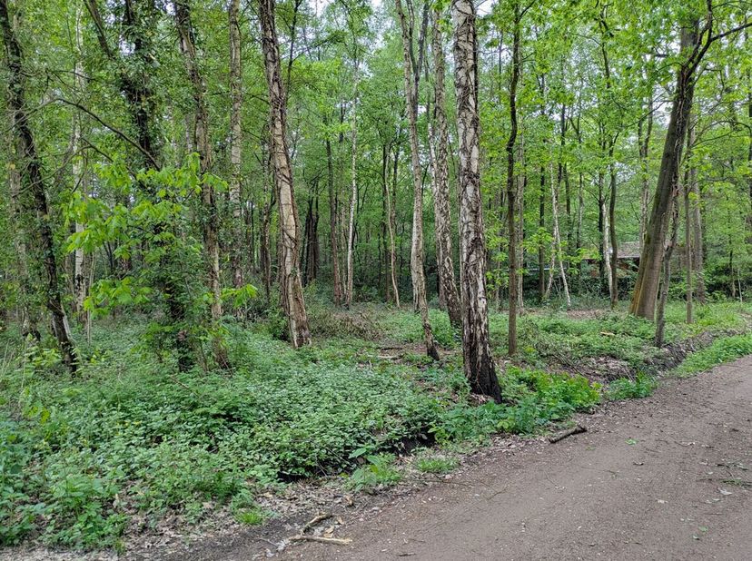 Rustig en groen gelegen perceel grond van 1.604m² in het woonbos te Essen<br />
Perceelbreedte: ca. 20m<br />
Perceeldiepte: ca. 80m<br />
Gelegen in