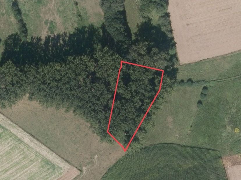 Perceel bos te koop&amp;nbsp; te Sint-Pieters-Kapelle<br />
Oppervlakte : 1.885 m²<br />
Gelegen in agrarisch gebied, er staan 27 grote populieren op<br /