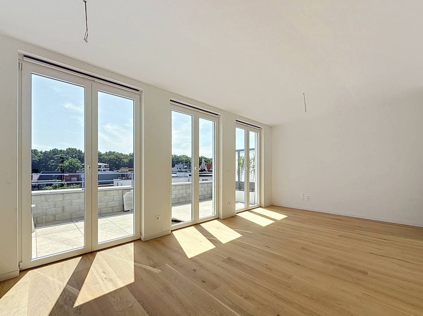 L'appartement est actuellement en cours de finition et sera disponible à partir du 01/09. Il sera livré entièrement peint, équipé de lumières et de pa