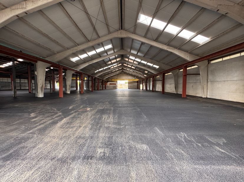 Op een vlot bereikbare bedrijvenzone langs de Industrieweg in Zwevezele ligt deze ruime en functionele magazijnruimte van +/- 935 m². De locatie genie