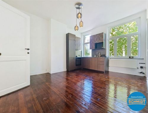                                         Appartement à louer à Ixelles, € 1.100
