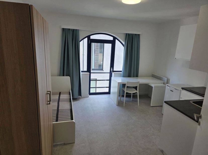 À deux pas de Louvain, ce magnifique studio situé dans la Leeuwerikenstraat, dans un quartier résidentiel calme à proximité de Heverlee, est disponibl