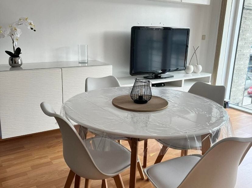 Instapklare ruime studio met slaaphoek gelegen op de 1e verdieping aan de zonnekant met mooi terras, op enkele meters van de zeedijk van Nieuwpoort en