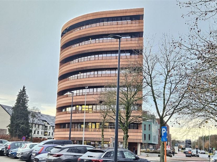 Bien professionnel à vendre
                    à 3600 Genk