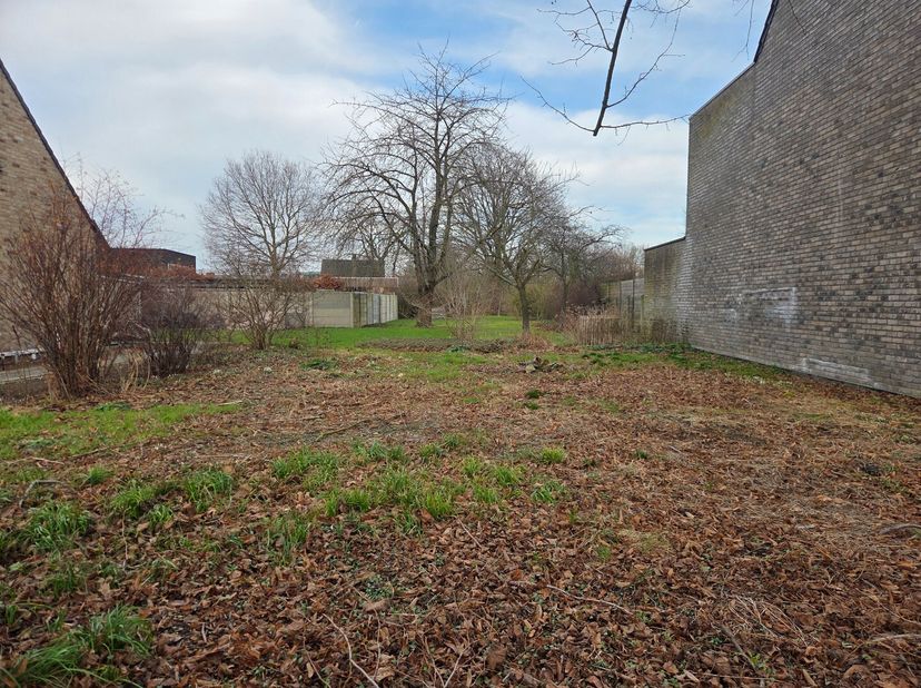 Terrain à vendre
                    à 2260 Oevel