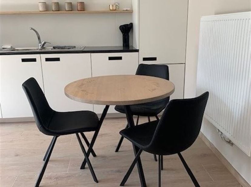 Deze stijlvolle bemeubelde studio werd recent volledig gerenoveerd en biedt een combinatie van modern wooncomfort en een uitstekende ligging in een ru
