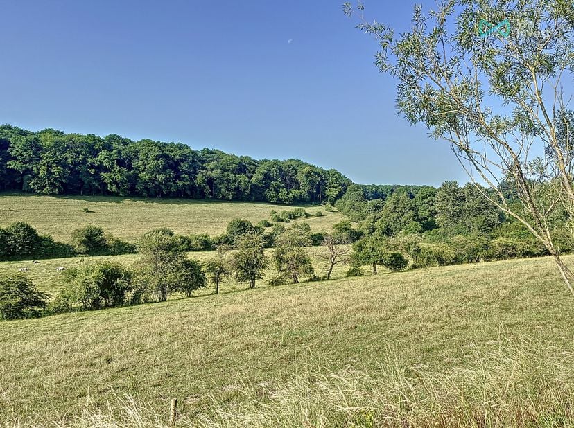 Contact Jeremy +32(0)472 91 80 37 jeremy.champagne@weinvest.be<br />
Magnifique terrain à bâtir situé dans l'un des plus beau village de Wallonie : Lo