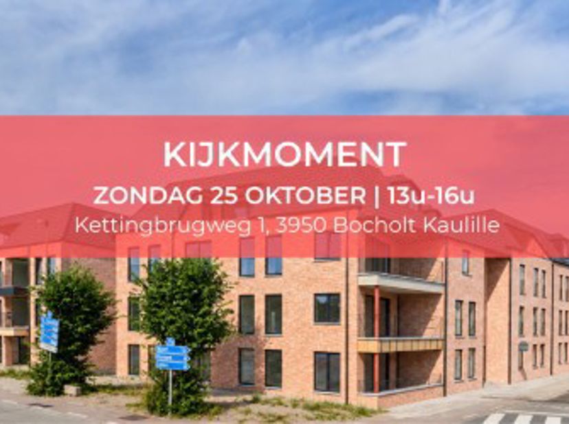 Project in Fabriekstraat,
                    3950 Kaulille