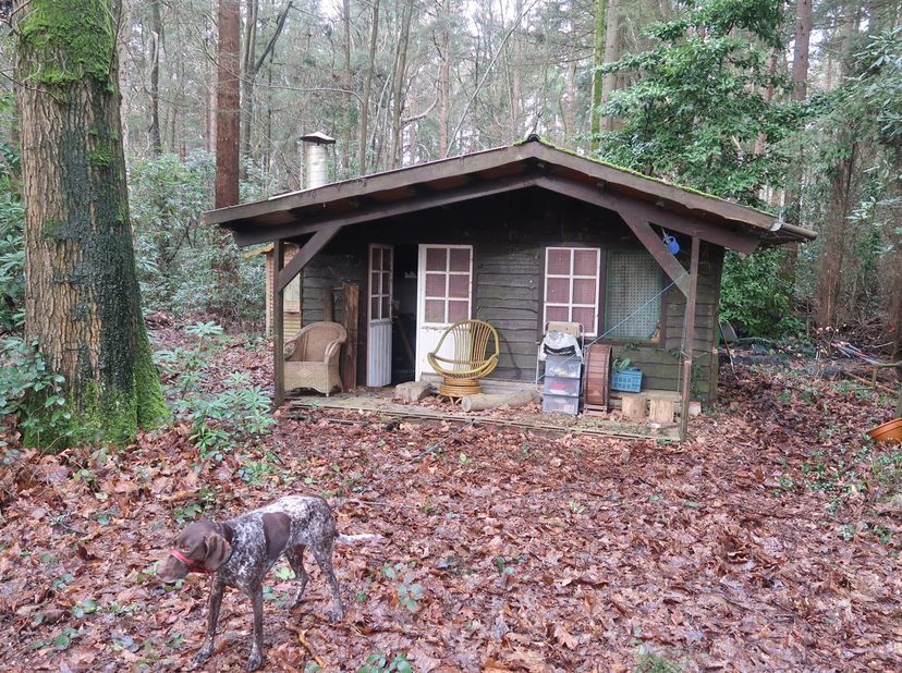 VAKANTIEVERBLIJF OP EEN BEBOST PERCEEL - <br />
<br />
Op een uitzonderlijke locatie in het groene hart van Loppem bevindt zich dit charmante vakantie