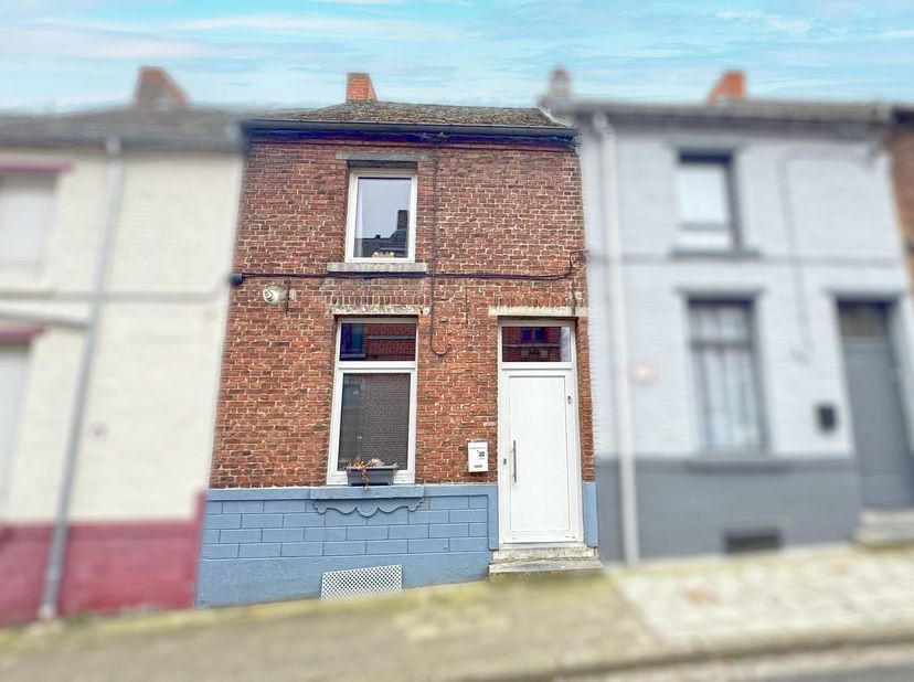 Huis te koop
                    in 7340 Wasmes