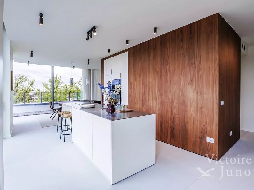 Victoire Junot stelt u een ruim penthouse met drie slaapkamers voor, verlengd door een prachtig en gunstig georiënteerd terras (Zuid/Zuid-West), met u