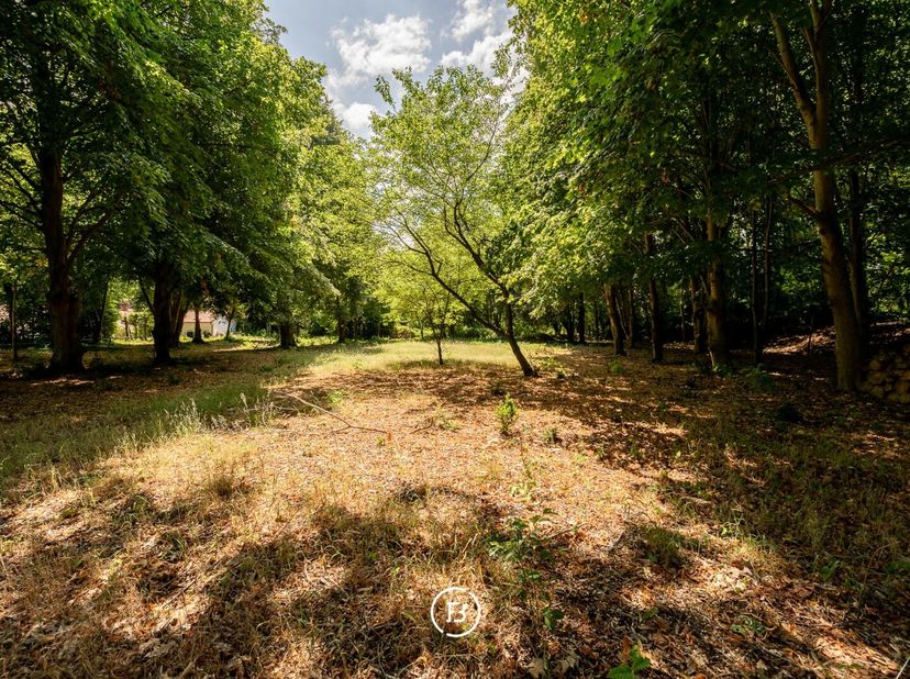 Ce terrain de 4.804 m² est situé en zone agricole et constitue une opportunité intéressante pour construire dans un environnement verdoyant. La parcel