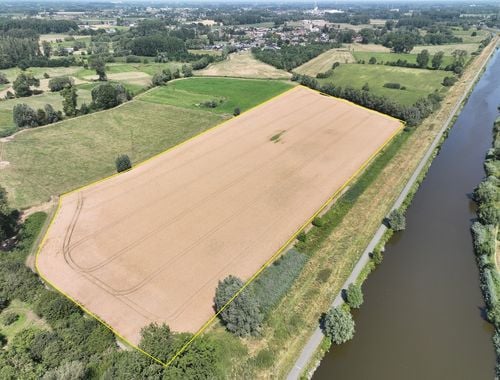                             Landbouwgrond te koop in Herdersem
