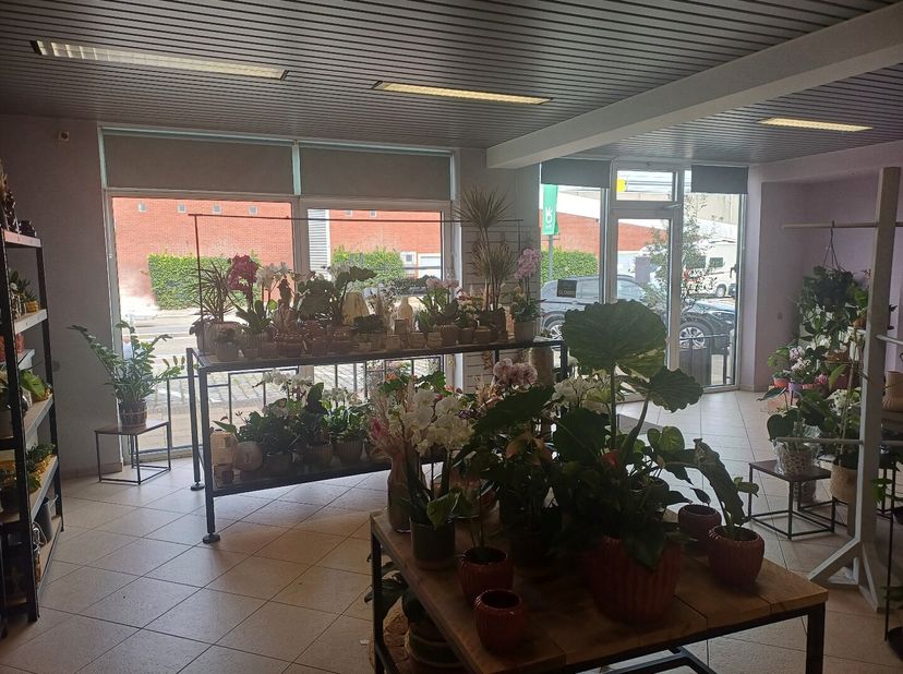 Bien professionnel à vendre
                    à 3910 Neerpelt