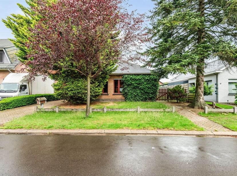 In de Berkendreef 20 in Bouwel bevindt zich deze volledig te renoveren woning met veel potentieel voor wie op zoek is naar een renovatieproject op een
