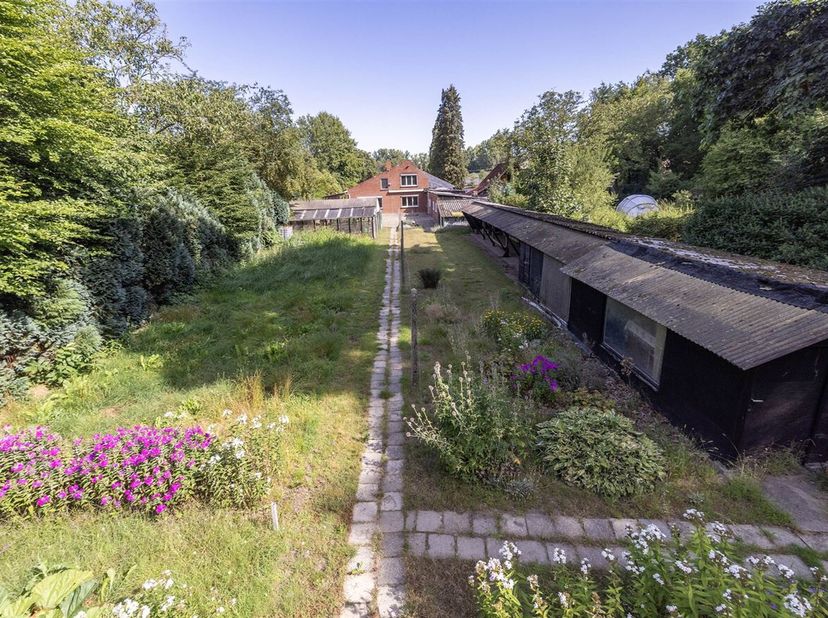 Te renoveren 3 slpk woning op 14a 35ca<br />
Deze woning dateert van 1950 en dient gerenoveerd te worden naar hedendaagse norm.<br />
Ligging: Uiterma