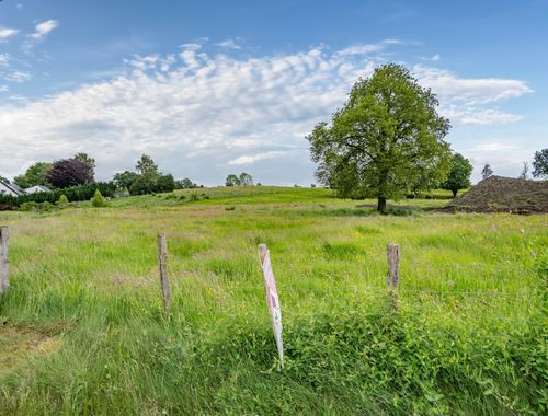                                         Bouwgrond te koop in Bertogne, € 83.000
