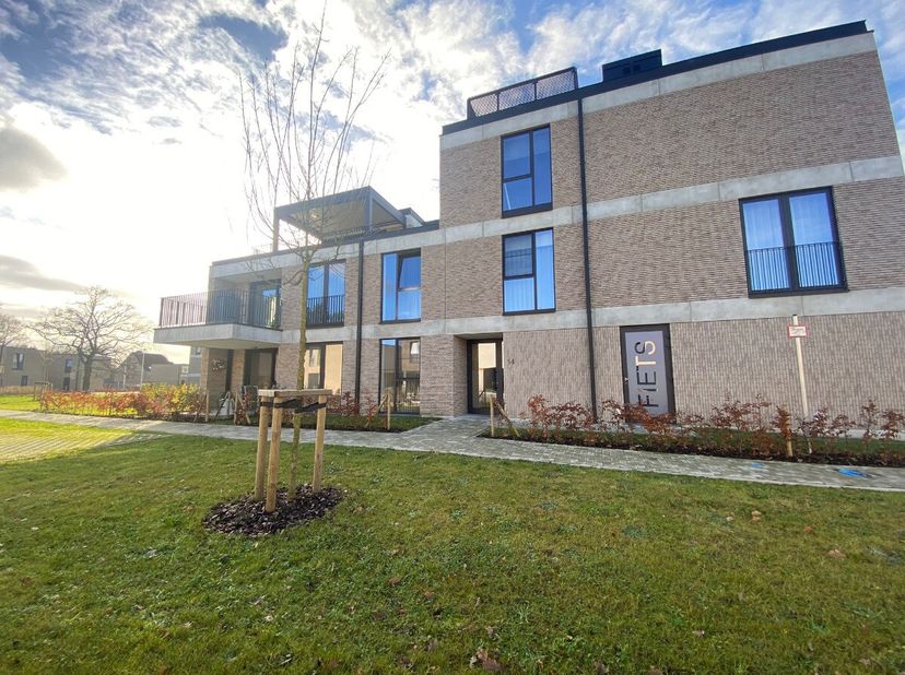 Appartement à louer
                    à 3520 Zonhoven