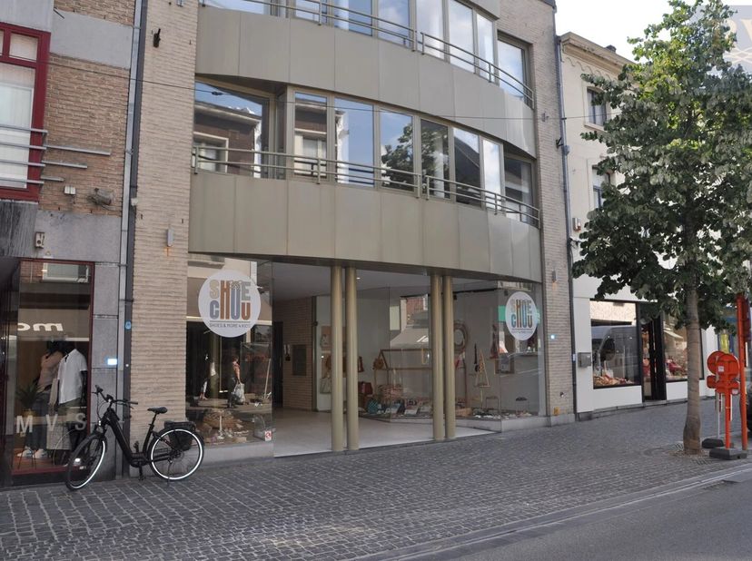 PRACHTIG EN RUIM APPARTEMENT MET 2 SLPK EN VEEL LICHTINVAL IN HET BRUISENDE CENTRUM VAN BILZEN<br />
Op zoek naar een instapklaar en lichtrijk apparte