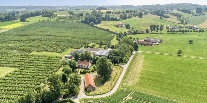 Maison à vendre à Keuzelingsstraat 24 boîte A, 9690 Kwaremont