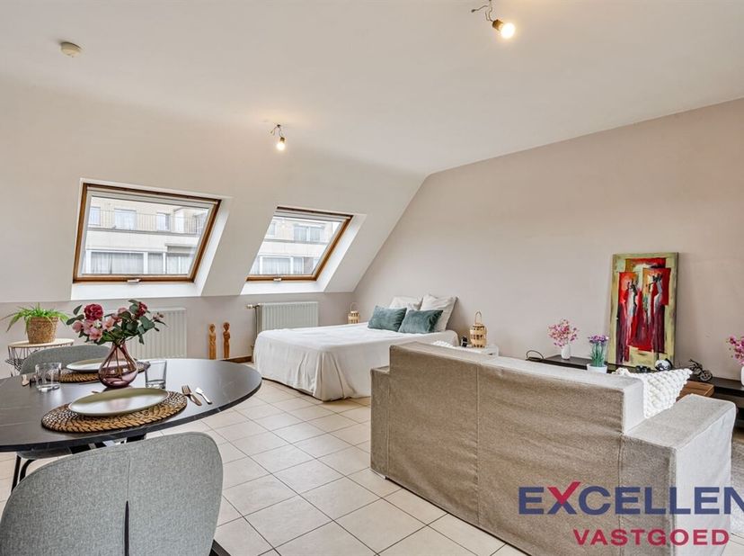 Deze moderne en stijlvol ingerichte studio in Deinze biedt een perfecte oplossing voor wie op zoek is naar kwaliteit en comfort in een compact formaat