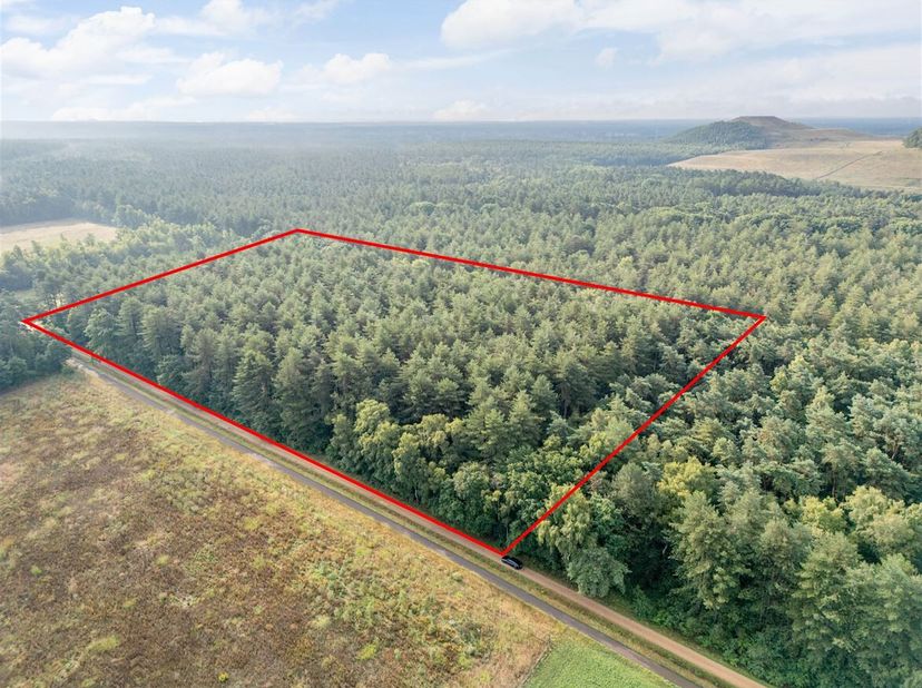 Bosgrond op Grote Heide in Oudsbergen <br />
Bent u op zoek naar een stuk natuur om tot rust te komen of als investering voor de toekomst? In het groe