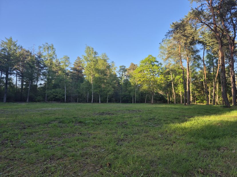 Terrain à vendre
                    à 3930 Achel