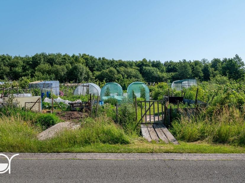 Grond te koop in Vinderhoutsedam,
                    9921 Vinderhoute