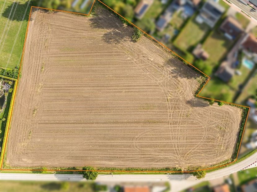 Uitzonderlijk perceel bouwgrond met weiland op totale oppervlakte van 2,1 hectare te Olmen.<br />
Belangrijkste troeven: <br />
- Centrale ligging doc
