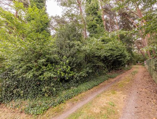                                         Bos te koop in Vorselaar, € 18.000
