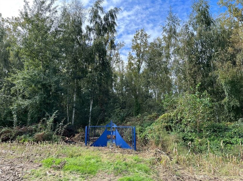 Een perceel weiland met vijver op 58a, nabij de Tappelbeek, te Zandhoven / Massenhoven.<br />
Toegang langs de Liersebaan.<br />
<br />
Bij interes