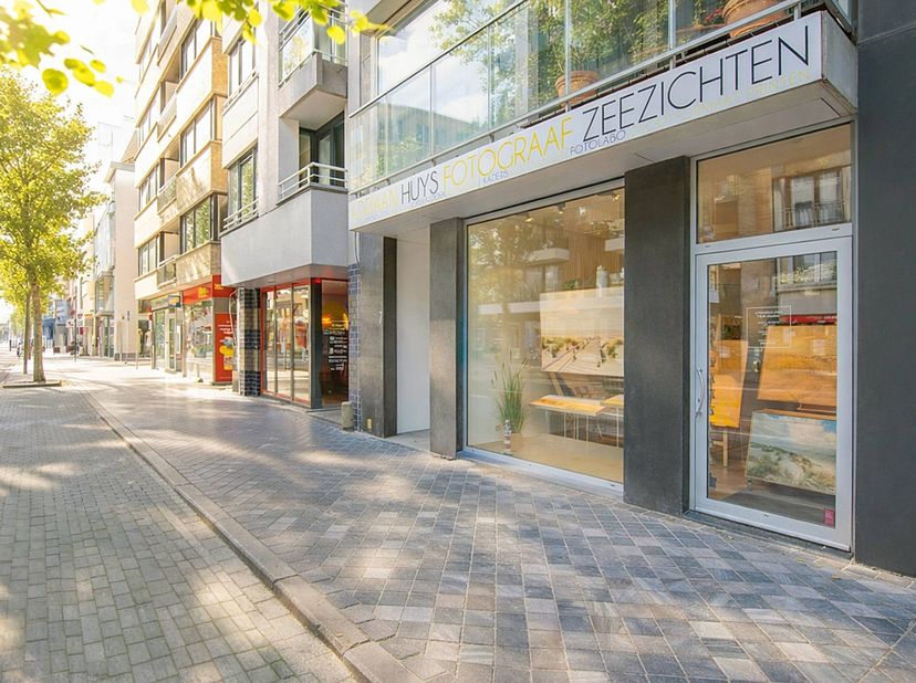 Bien professionnel à vendre à Alfons Pieterslaan 7,
                    8400 Oostende