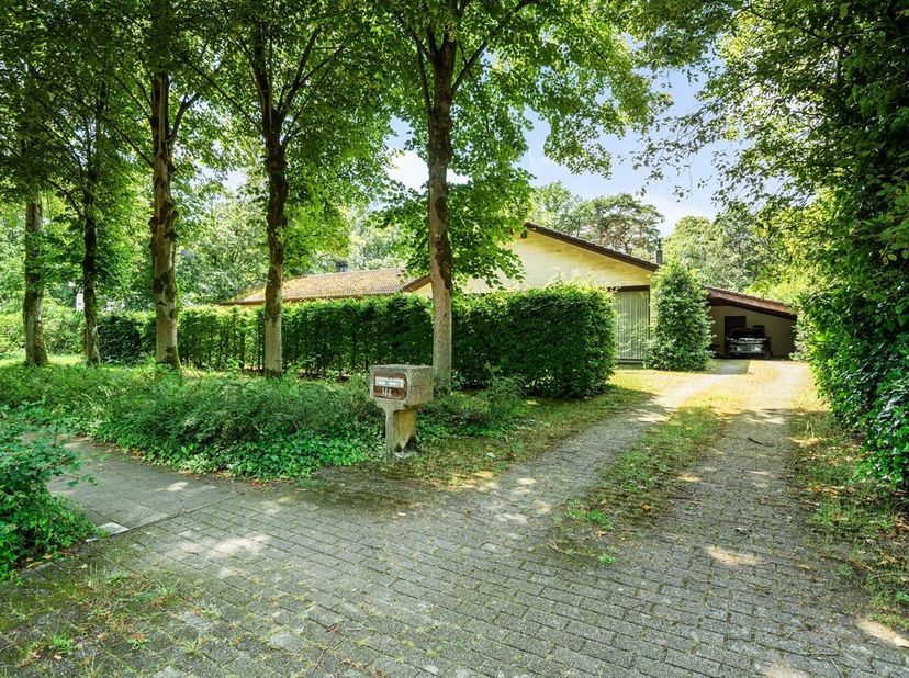 Te renoveren villa op uitzonderlijke toplocatie in Brasschaat <br />
Op één van de meest gegeerde en exclusieve lanen van Brasschaat, de Baillet Latou