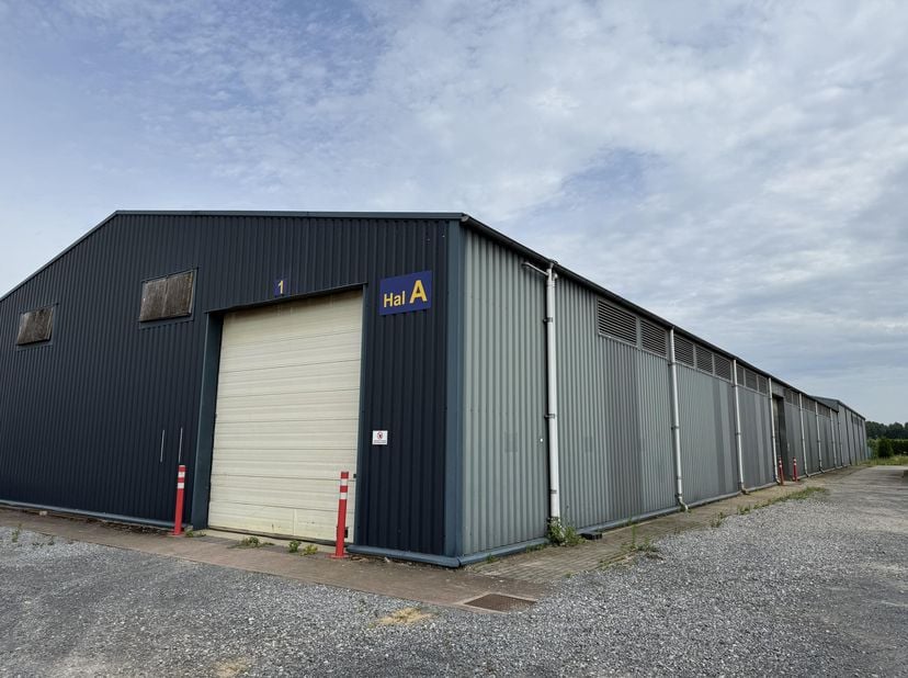 Loods voor opslag - 1200m²<br />
Vrije hoogte: +/- 5,2m<br />
1 elektrische sectionaalpoort (4x5m)<br />
1 manuele sectionaalpoort (4,2x4,2m)<br />
Be