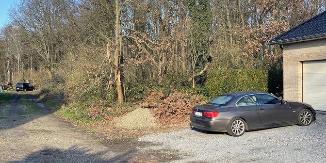 Grond te koop in Schorenstraat 58, 3581 Beverlo