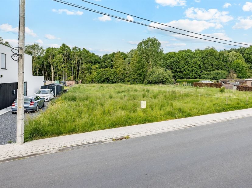 In de rustige Reynaertstraat te Sint-Baafs-Vijve bevindt zich dit uitzonderlijk mooi perceel bouwgrond met een totale oppervlakte van ca. 1.036 m². De
