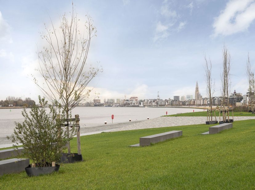 Appartement à vendre
                    à 2000 Antwerpen