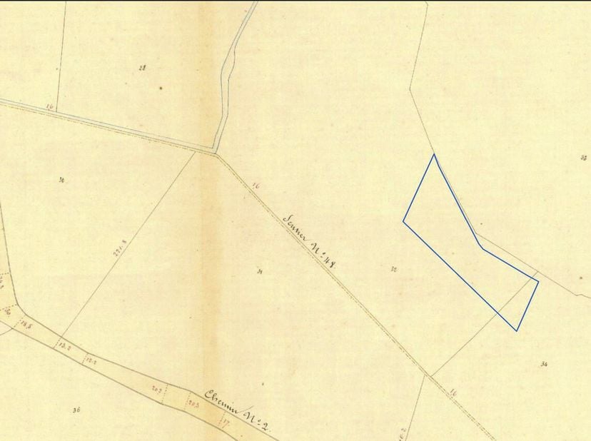 Terrain à vendre
                    à 3450 Geetbets