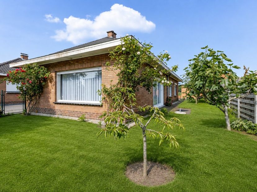 Bent u op zoek naar een lbungalow in Waarschoot ? Deze gerenoveerde gelijkvloerse woning beschikt over drie slaapkamers, een lichtrijke leefruimte en