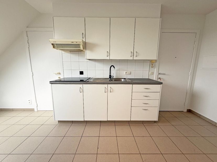 Appartement à louer
                    à 8930 Menen