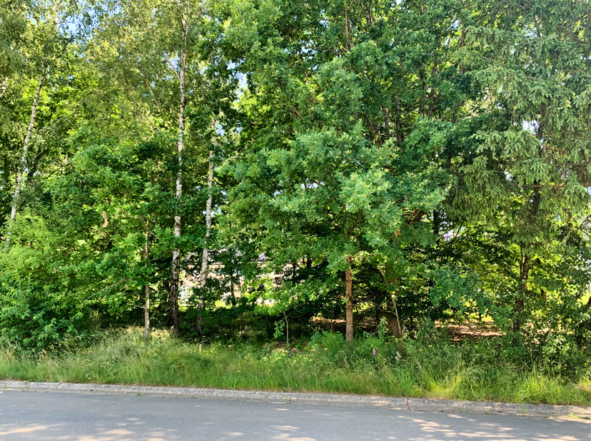 Bouwterrein met bomen, deel uitmakend van het standingvolle Residentieel Park les Onays, volledig uitgerust<br />
Info+: Kosten te voorzien : 250€ voo