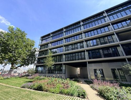                                         Appartement à louer à Antwerpen, € 950
