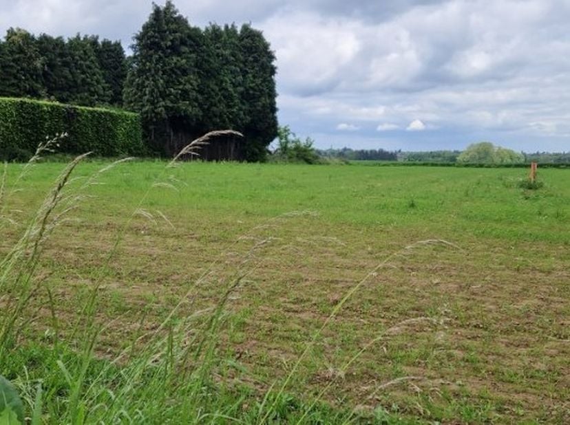 Terrain à vendre
                    à 3401 Walshoutem